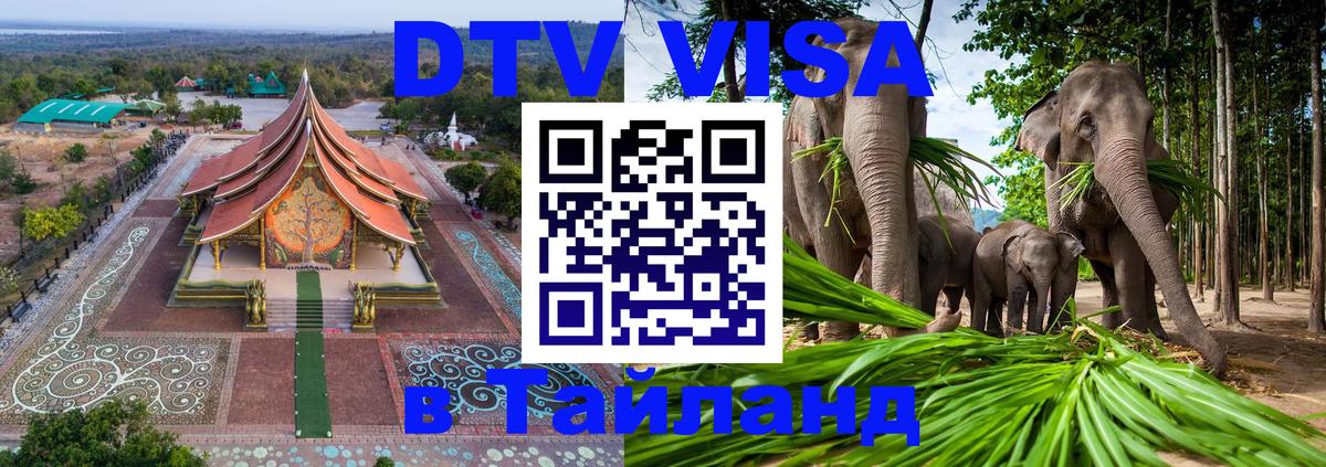 Оформление DTV визы под ключ: стоимость и тарифы, только загранпаспорт - 07.01.2026 